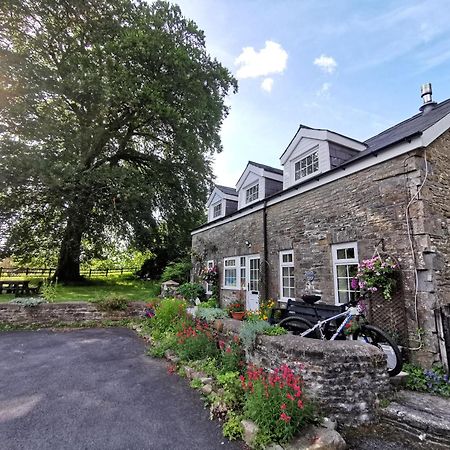 Swansea Valley Holiday Cottages Cilybebyll Esterno foto