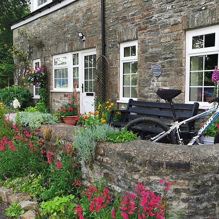 Swansea Valley Holiday Cottages Cilybebyll Esterno foto