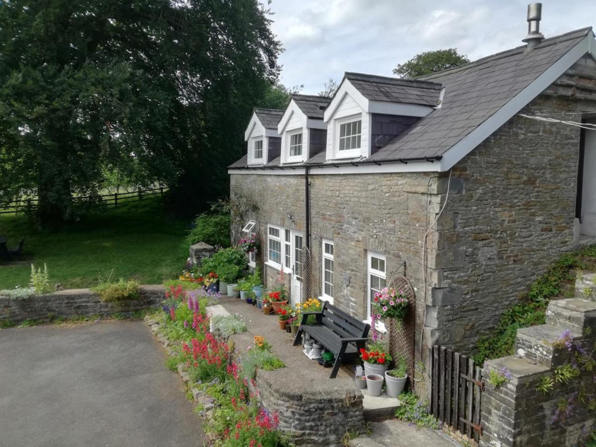Swansea Valley Holiday Cottages Cilybebyll Esterno foto