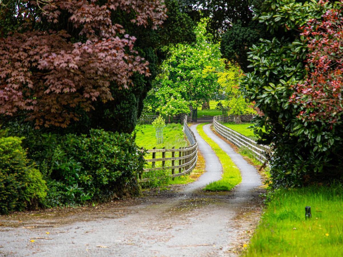 Swansea Valley Holiday Cottages Cilybebyll Esterno foto