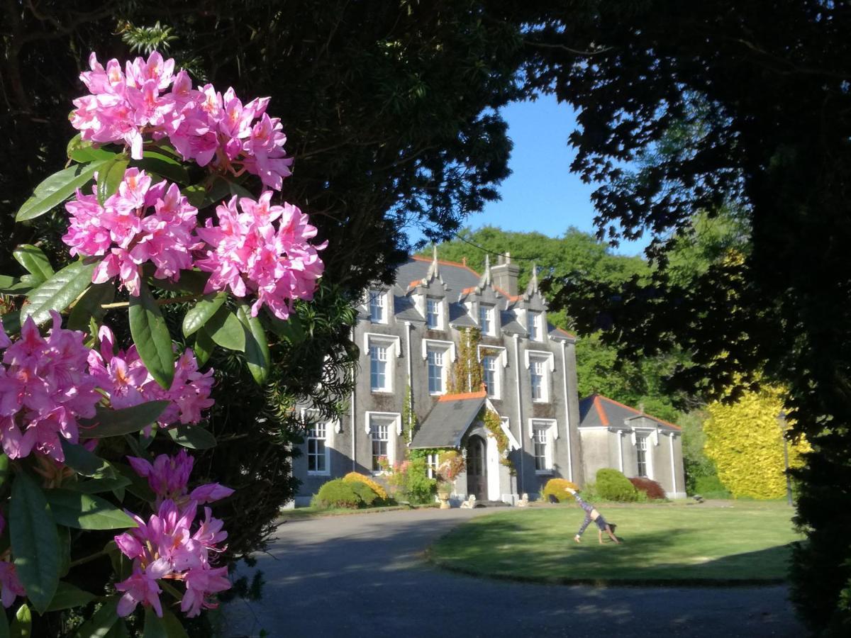Swansea Valley Holiday Cottages Cilybebyll Esterno foto