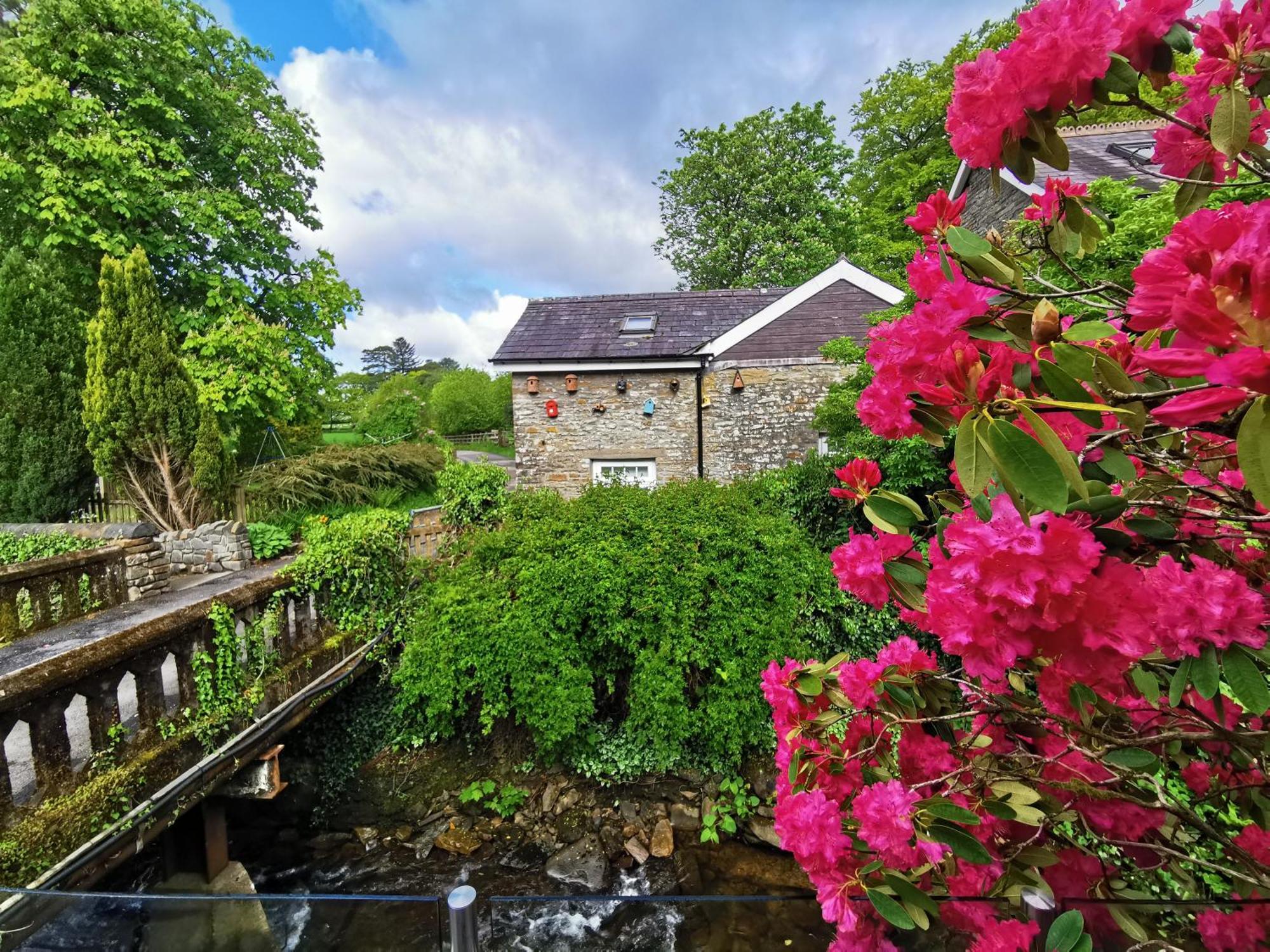 Swansea Valley Holiday Cottages Cilybebyll Esterno foto