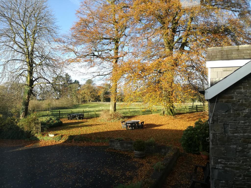 Swansea Valley Holiday Cottages Cilybebyll Esterno foto